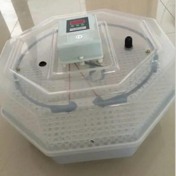 小型孵化机孵化器(50-60枚)() 型号:MN3/JN-60
