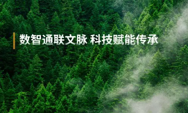 新版数智通 新疆拓鸿翊文化发展供应