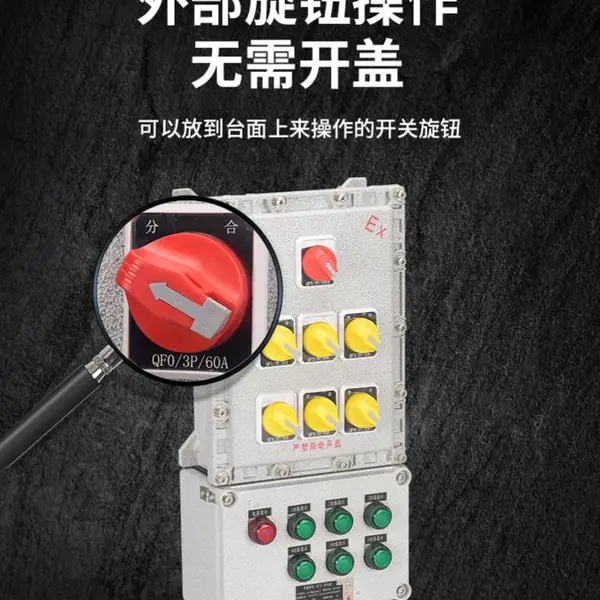 浙江防爆不锈钢防爆箱 BXM53IIC防爆动力配电箱 PLC远程防爆控制箱12回路防爆照明开关控制