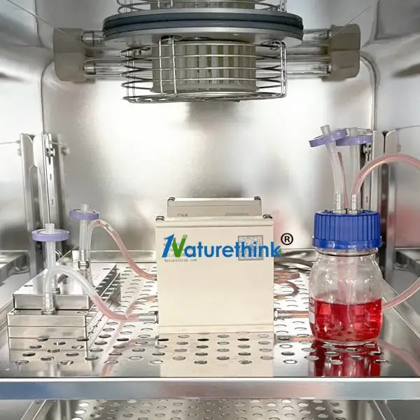 Naturethink三维细胞共培养系统