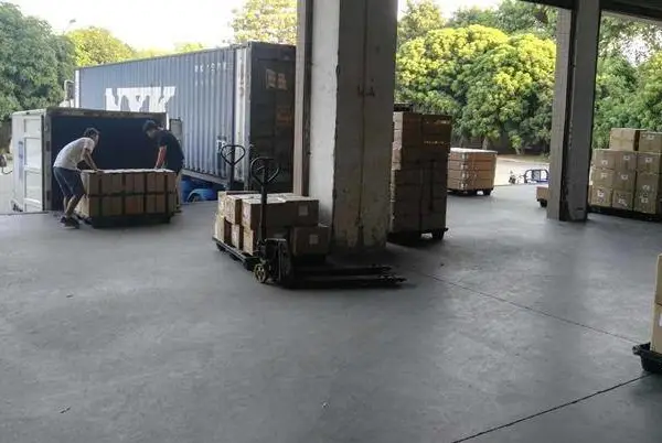 东莞深圳到香港专线