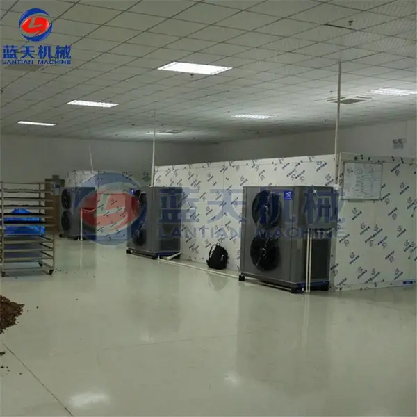С���㹽��ɻ� С���㹽��ɳ�ʪ�� Ұ��Ģ����ɻ����� ׵�׺�ɻ�