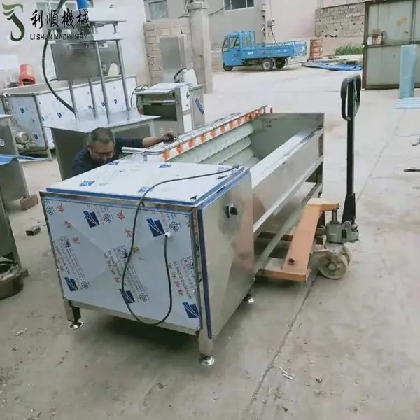 全自动毛刷土豆清洗机 毛辊清洗去皮机 工业大型打泥洗姜机