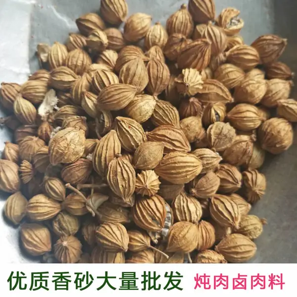香砂仁川砂仁 中药材批发火锅调味香料炖肉料卤肉料现货