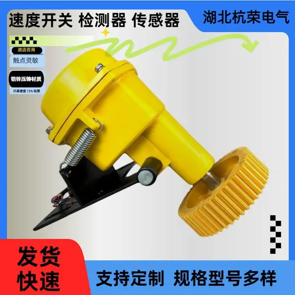 ����Ƥ�����ٶȼ����ZSBS-H�������ת�ٱ�������λ����