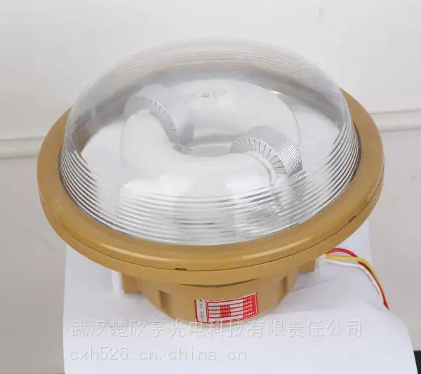 防爆灯125W 防爆配照型LED工矿灯 防爆无极灯高频BEW-125W