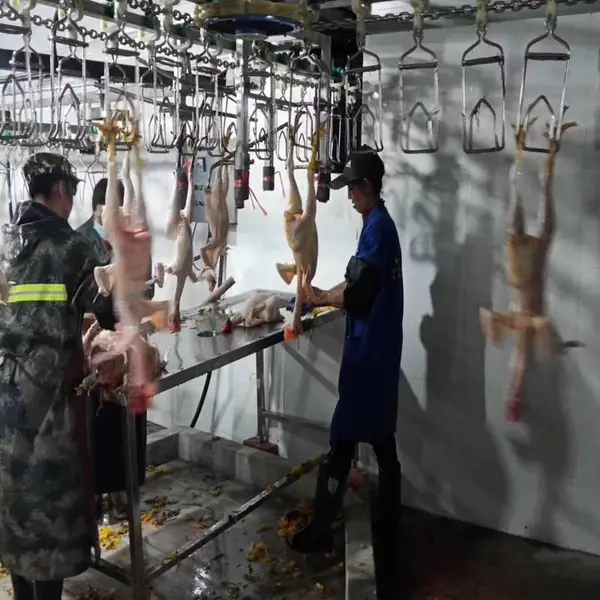 肉鸡宰杀全自动家禽屠宰机械流水线 鸡鸭鹅屠宰流水线