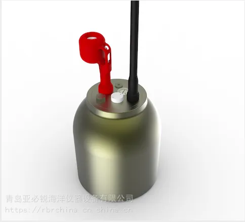 加拿大RBRargo 专为剖面浮标Argo设计 温盐深/ CTD
