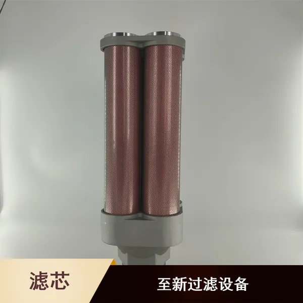 XY-40 双筒过滤器滤芯 至新过滤设备定制加工排污方便制药滤芯