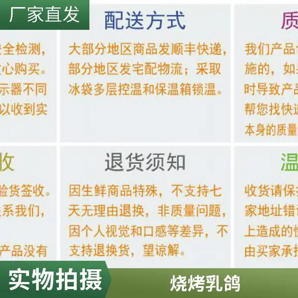 新鲜鸽子批发可做烧烤 货源稳定 乳鸽 【一手三鸟】