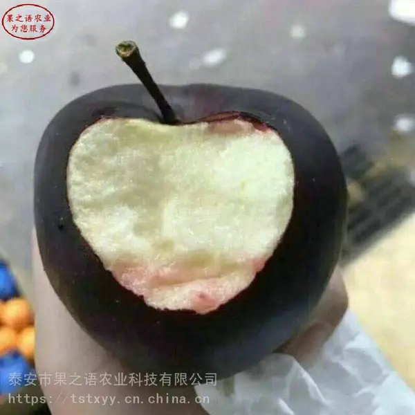 ƻ��������������ƻ������Ӧ�̡�2����ƻ������