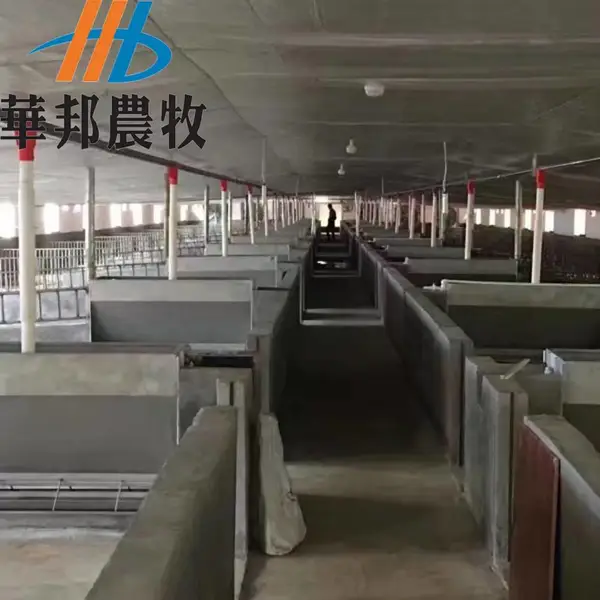 山东华邦供应养猪场自动上料控料喂猪?料线?养猪?自动化设备料线