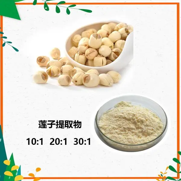 水苏糖 地灵水溶粉 SC厂家 支持样品 植物提取物