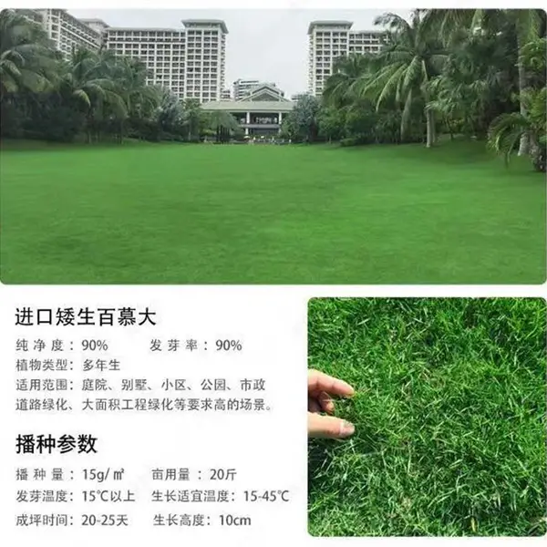 ˮ����̬�޸�������ҵÿ��50���ﵤ����������