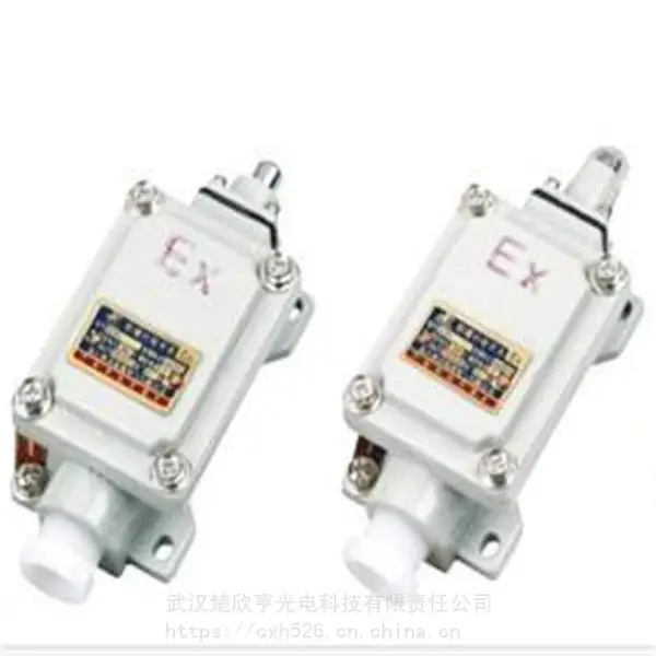 生产供应 BHZ51防爆防腐照明开关 防爆防腐控制开关
