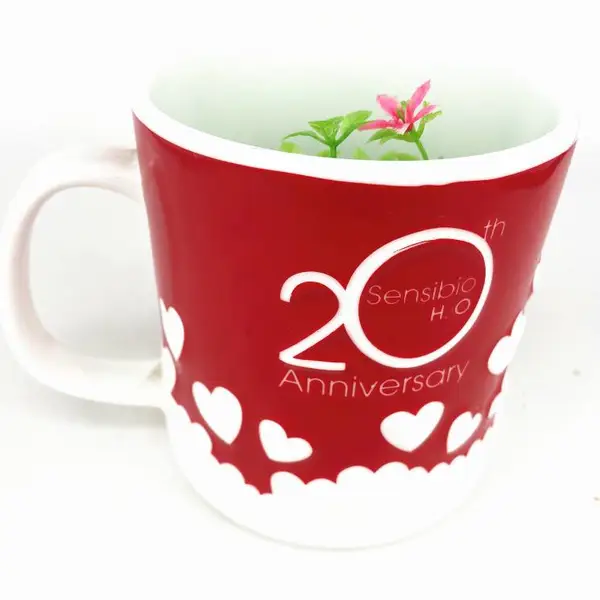 20周年庆陶瓷咖啡纪念杯