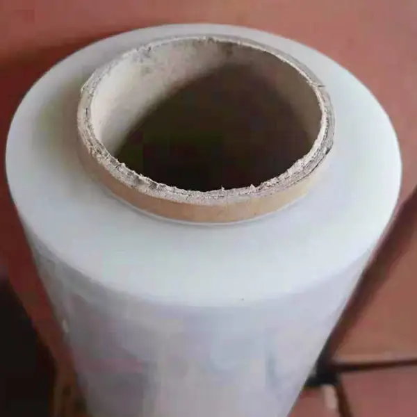 ����Ĥһ�ֵ�����