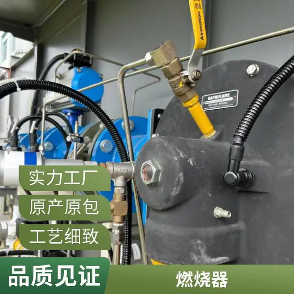 岱鼎燃烧 热镀锌焦炉煤气高炉煤气燃烧器天然气燃烧机源头厂家