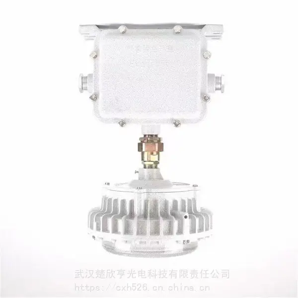 自带蓄电池防爆泛光灯70W 免维护FGQ1235-LED70 科瑞光源明纬电源