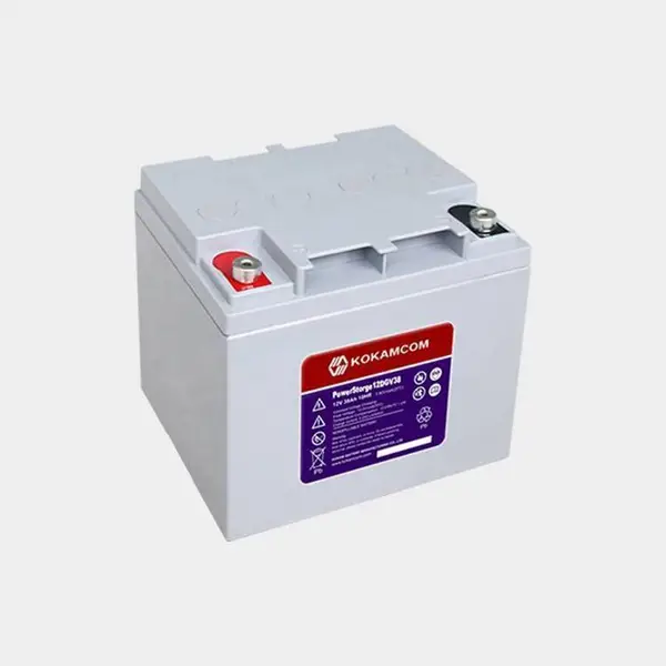KOKAMCOM�¿�ķ����SafeGuard12BS24 12V24AH UPS��Դר��