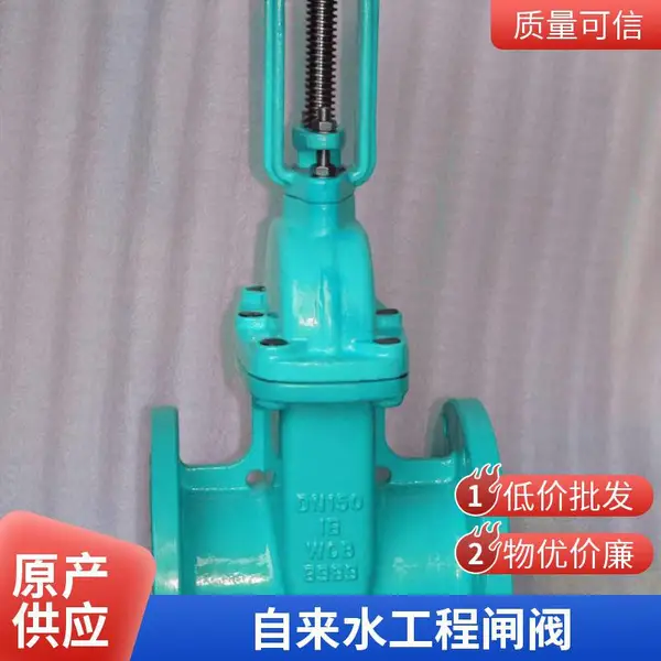 DN100 ��������բ�� ���ܷ�բ�� �������� ��ī���� ������ˮ ����ֱ�� ֧�ֶ���