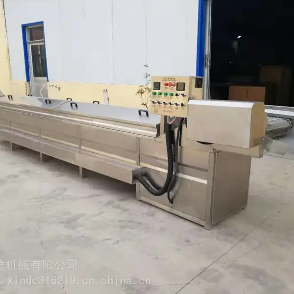 现货供应 果蔬漂烫机 连续式大枣漂烫设备