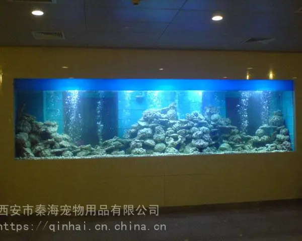 西安亚克力鱼缸 西安鱼缸 西安海鲜鱼缸