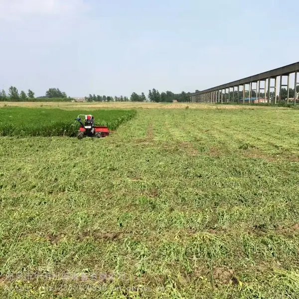 专业生产农产品手扶收割机薯类收获机家用小麦收割机玉米收割机