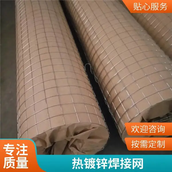 养殖场围栏用电焊网 镀锌铁丝方格网片 量大从优