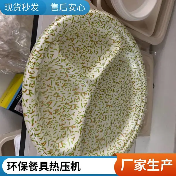 佛山绿洲纸浆餐具伺服压力机 80吨 四柱式 支持定制 环保餐具热压机