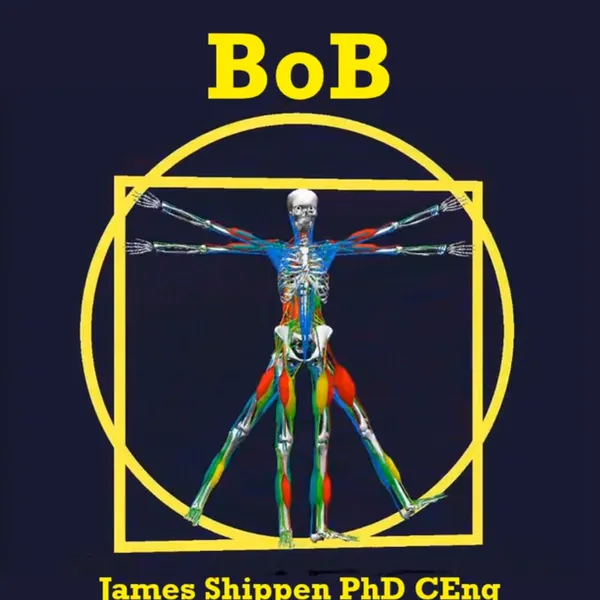 BOB人体生物力学分析软件-人体肌肉骨骼仿真建模 运动生物力学数据分析