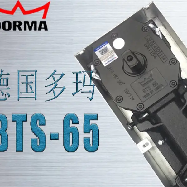 �¹�����ص���BTS-65��������