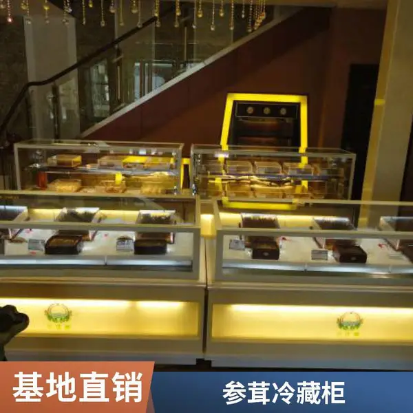 高档虫草柜 放冬虫夏草的冷柜 制冷设备 燕窝展示冷柜