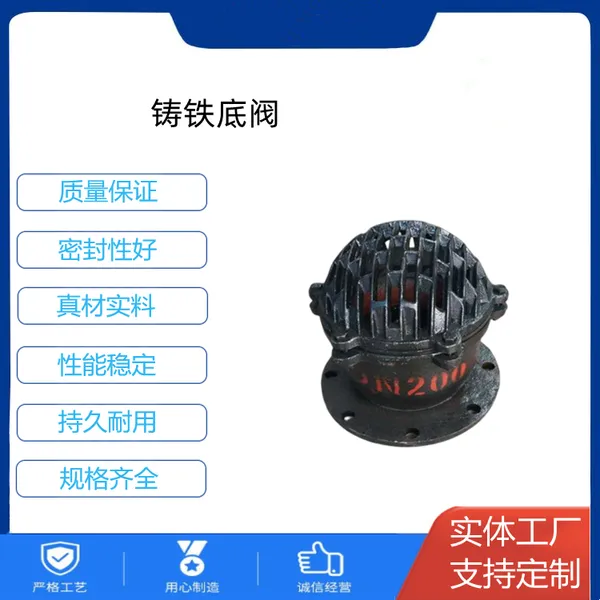 H42X-10C水泵吸水底阀 噪音小 水底防倒流止回阀 南高阀门
