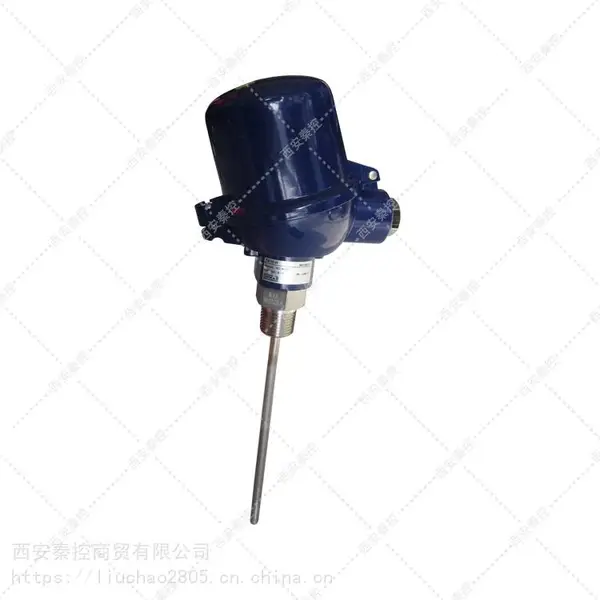 TR10-C-010-T12 �¹����������¶ȴ�����