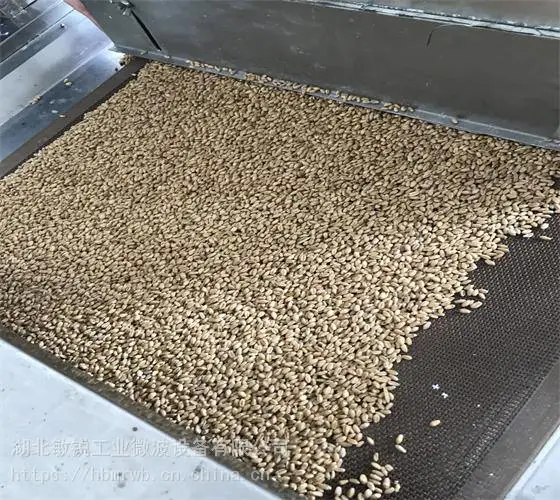 供应小卖胚芽微波灭菌干燥机