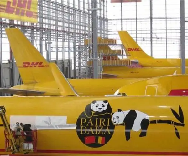 ����DHL���ʿ��-����DHL���-����DHL���������