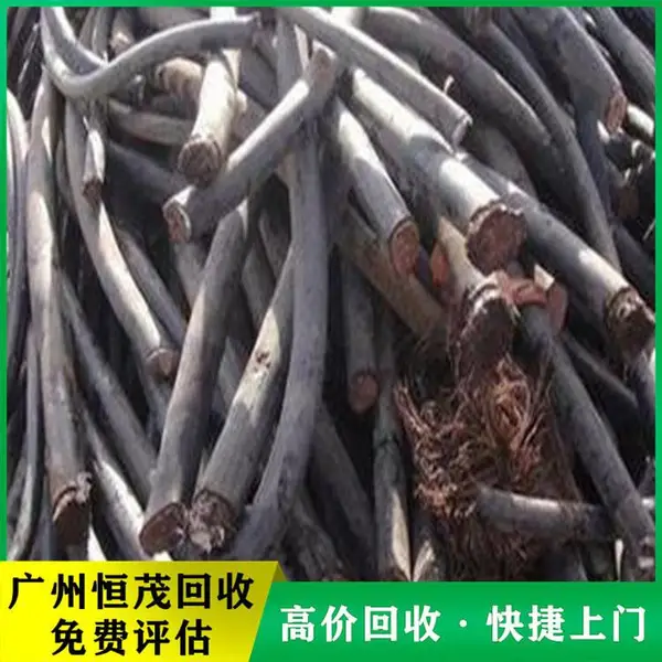 �� �ڹ��̾ɵ��»��� ȫ������ ���������***�չ� �ֿ����
