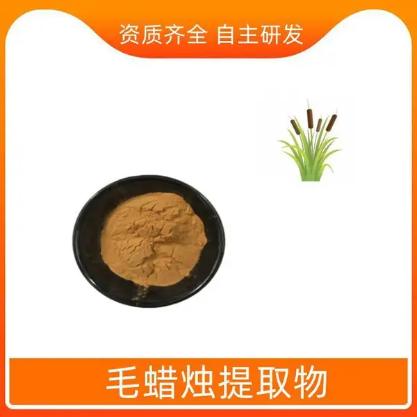 毛蜡烛提取物 速溶粉 原粉 浓缩干燥 10:1 20:1可定制