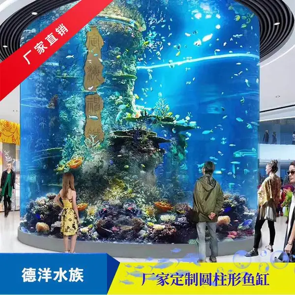 �Ƶ�Բ�����ǿ�����׶��� ����������������������