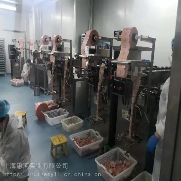 *上海惠河HP-60TK小袋芝麻丸人工投料自动包装机械 链斗式包装机