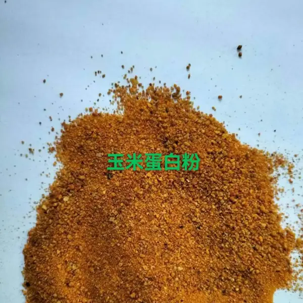 山东60蛋白玉米蛋白粉适合动物饲喂