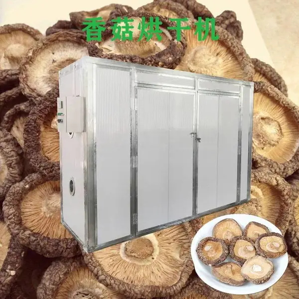 香菇干燥脱水机 香菇烘干电烤箱 蓝天 操作简单