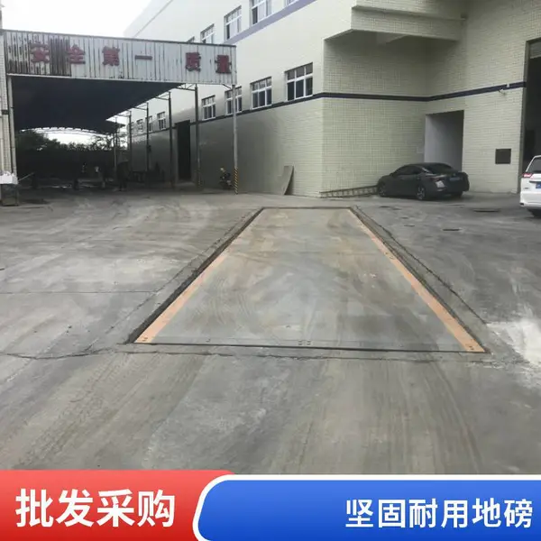 高明地磅 80吨电子地磅 饲料厂 耐腐蚀 双秤板设计