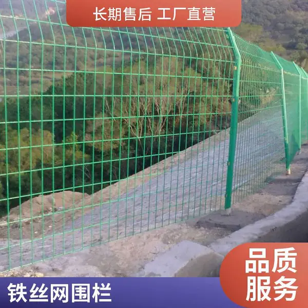 绿色荷兰养殖网 现货浸塑电焊网 加工定制 防腐耐用
