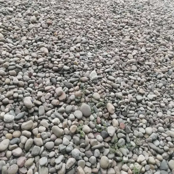 布石供应机制鹅卵石经久耐用 园林石材景观石鹅卵石 5-8cm铺路路面用鹅卵石