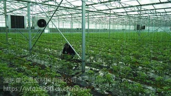 玻璃无土栽培温室/潍坊建达温室材料公司