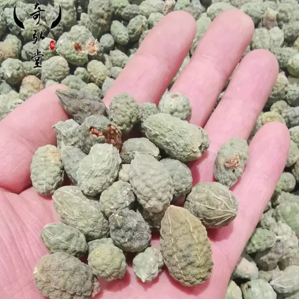 中药材野西瓜市场走势