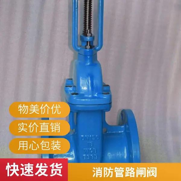 不锈钢法兰闸阀Z41W-16PDN80化工管件 支持定制