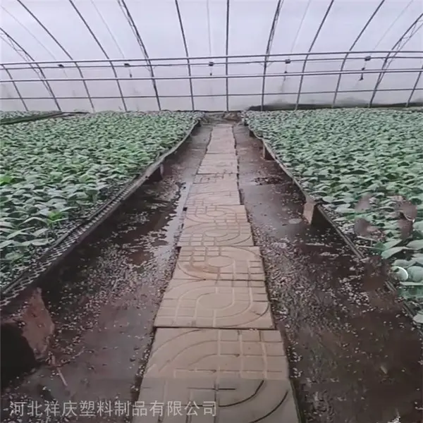 绿化种植盆容器盘 蔬菜种植盆方盘 长方盘育苗盘